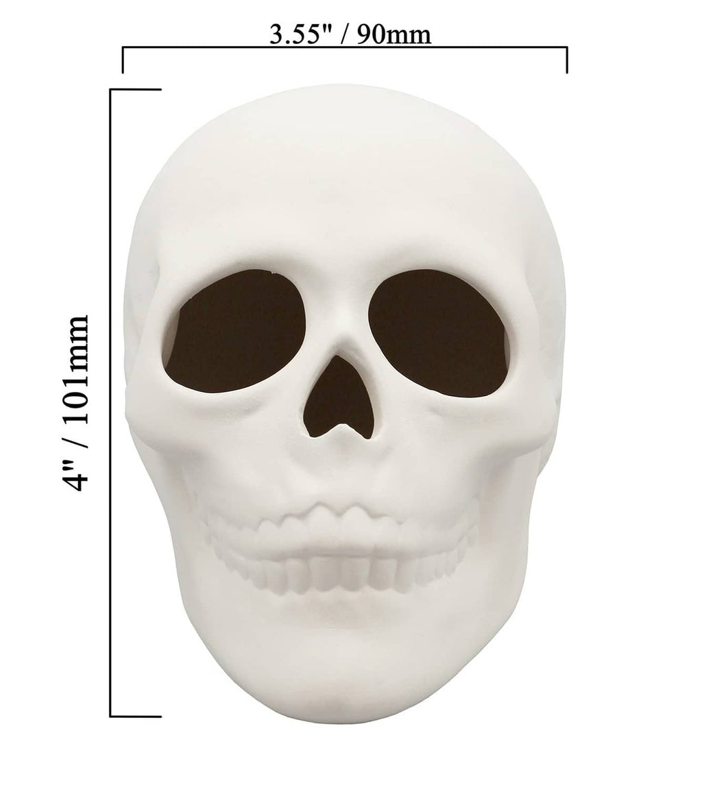 White ceramic bisque skull figurine front view with size labels 3.55 in and 4 in