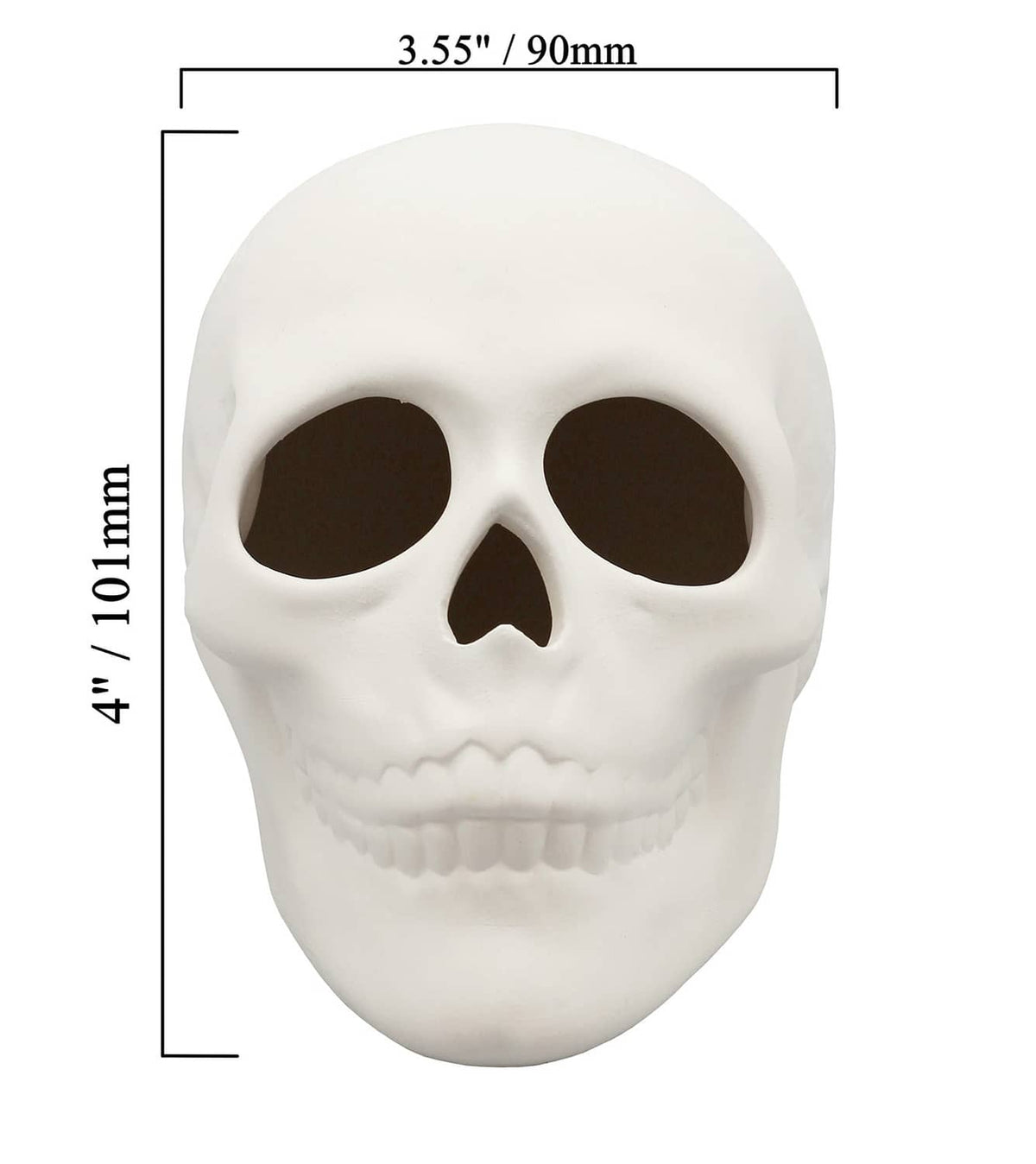 White ceramic bisque skull figurine front view with size labels 3.55 in and 4 in