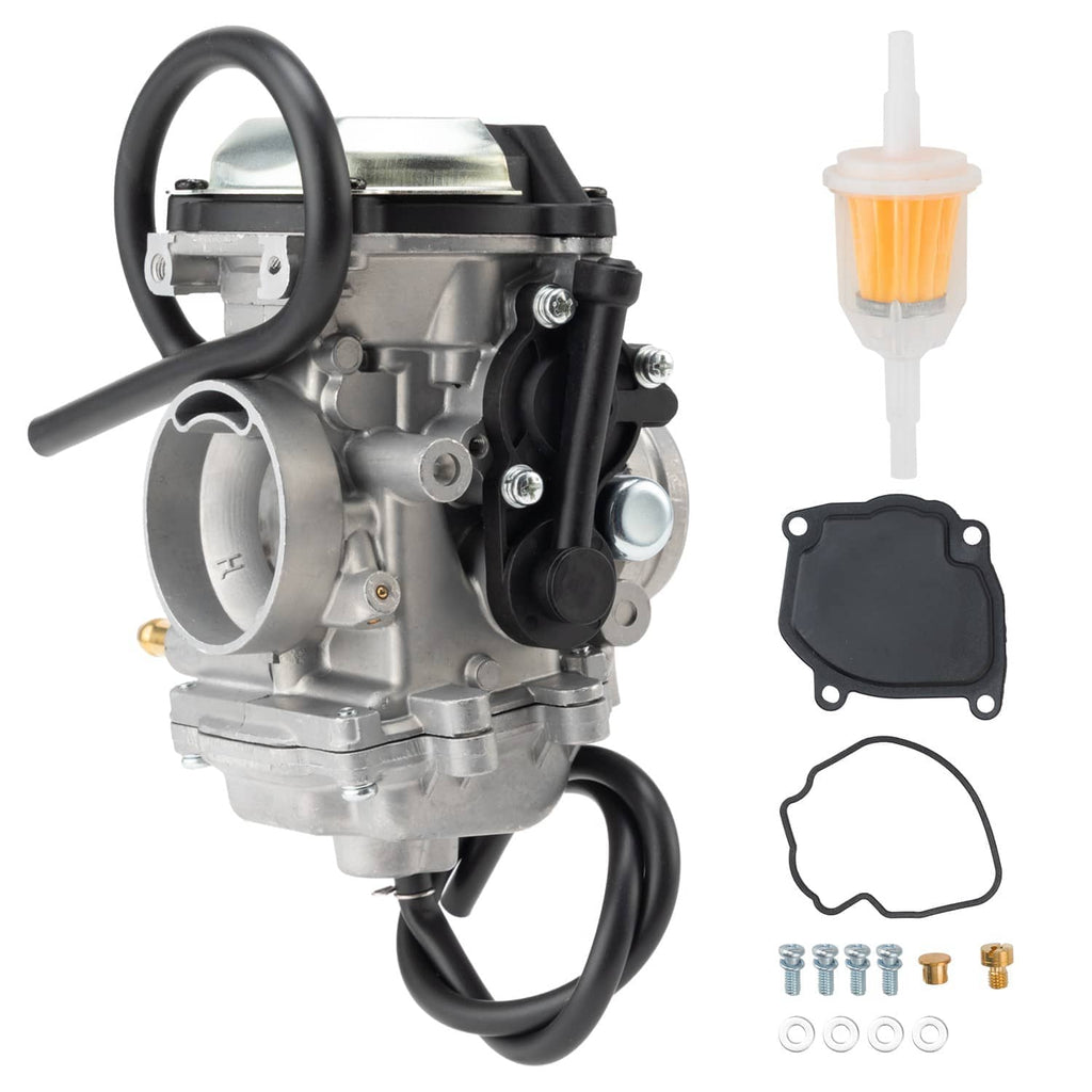Carburetor assembly with black hoses, fuel filter, gasket, and hardware
