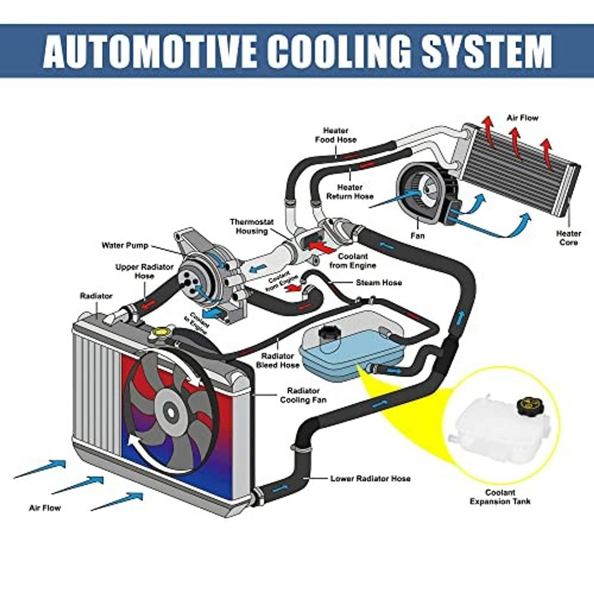 Automotive cooling system diagram with coolant tank and radiator hoses