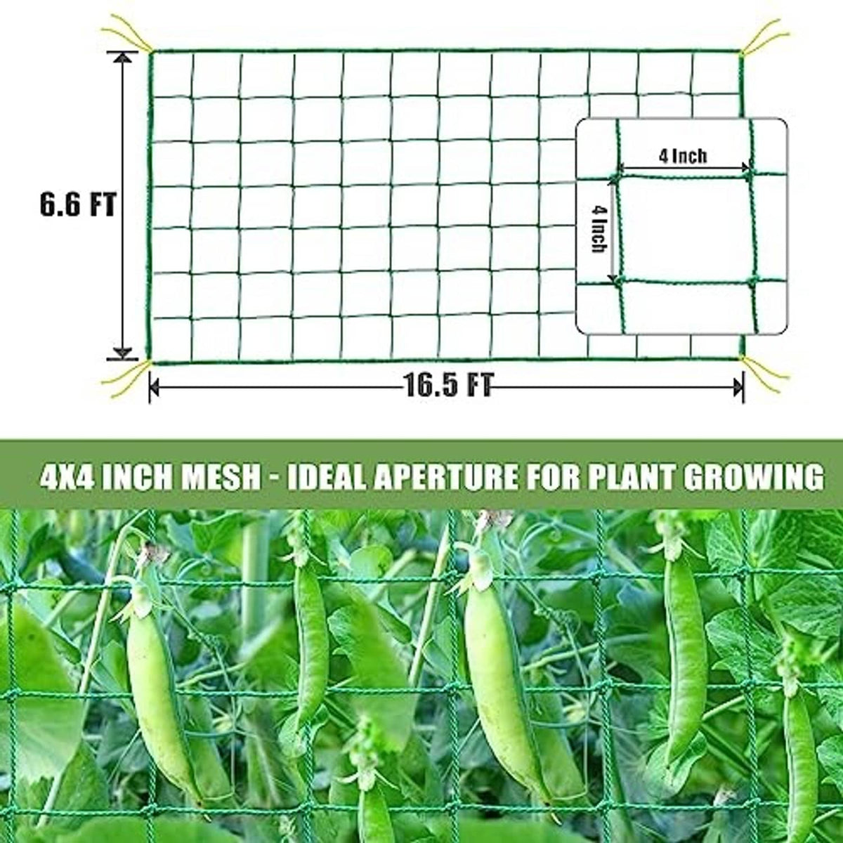 Garden trellis netting with 6.6 x 16.5 ft size and 4-inch square mesh grid
