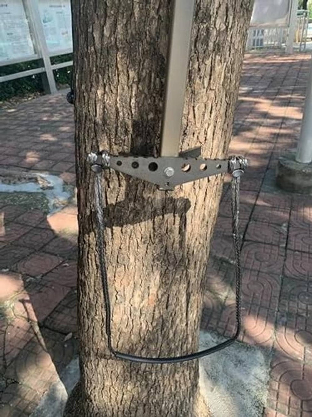 Tree-mounted climbing aider with perforated metal bar and black rope step loop.