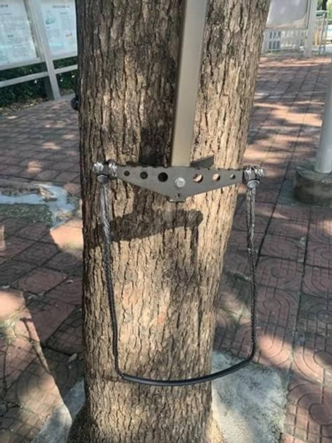 Tree-mounted climbing aider with perforated metal bar and black rope step loop.