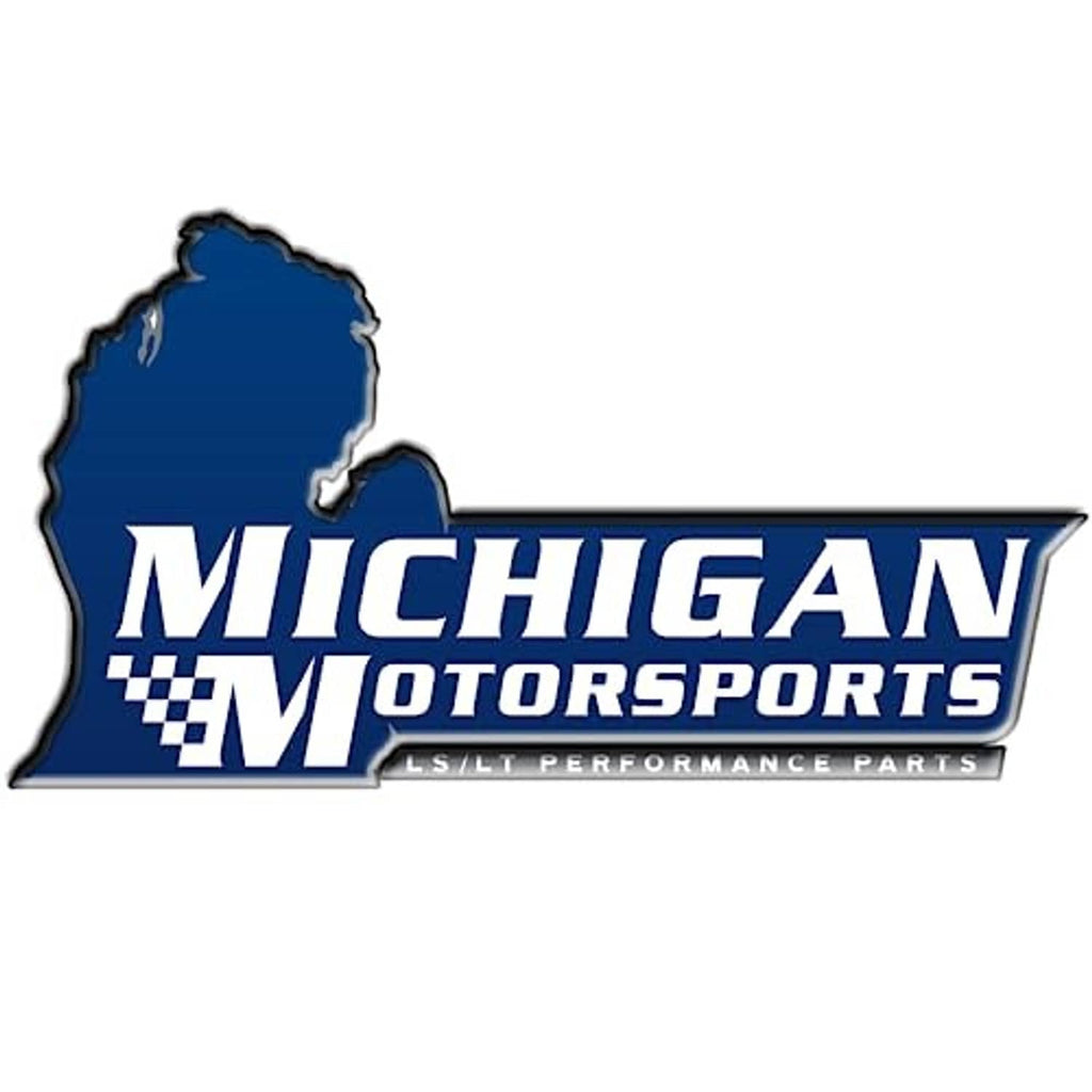Michigan Motorsports logo with blue silhouette and checkered flag text