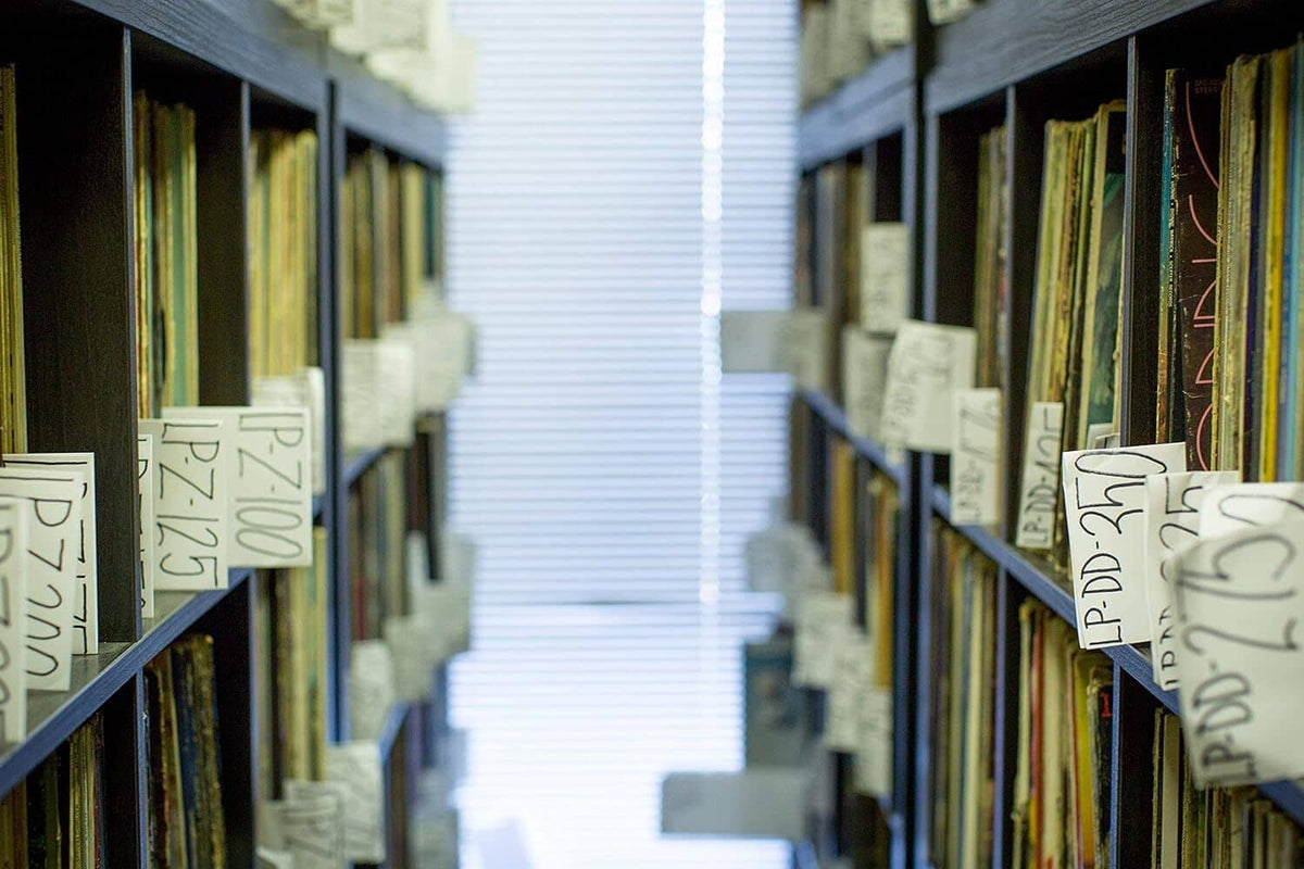 Vinyl records lined up on shelves with clear protective plastic sleeves