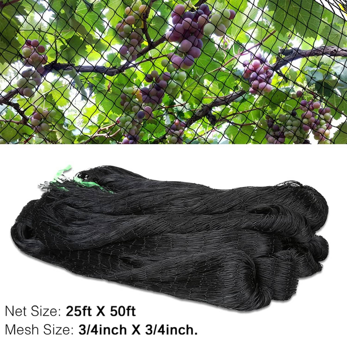 Folded black nylon bird netting, 25 ft x 50 ft, 3/4 in mesh with fine square weave