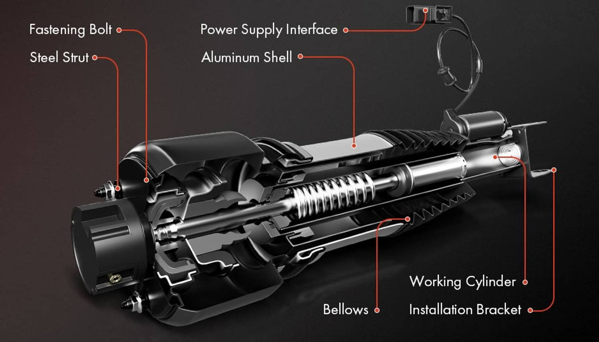 Air suspension strut assembly cross-section diagram with working cylinder and bellows