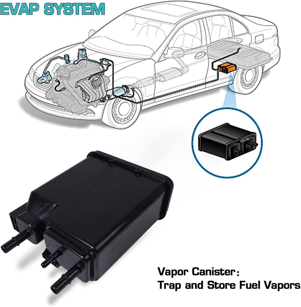 Black EVAP vapor canister with outlet ports and connected hose fittings