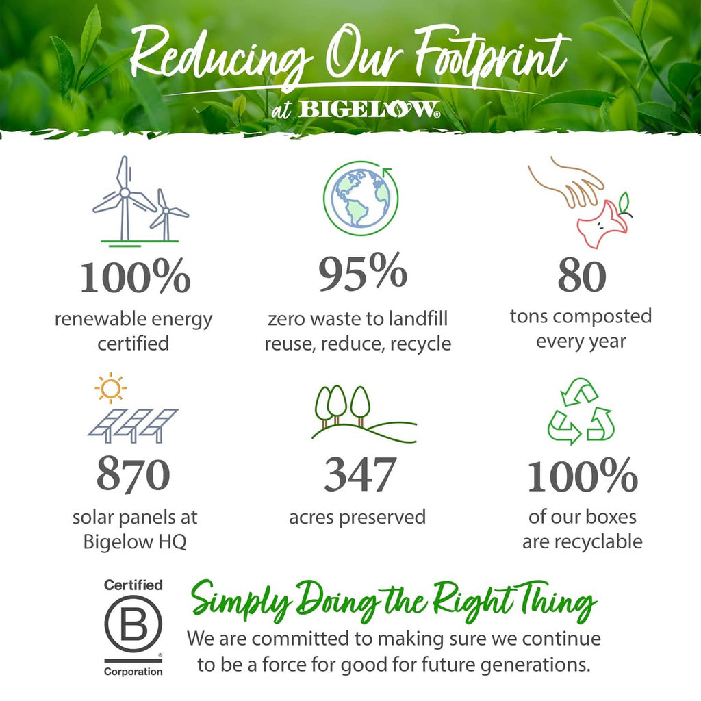 Sustainability infographic with icons for Bigelow and recyclable materials