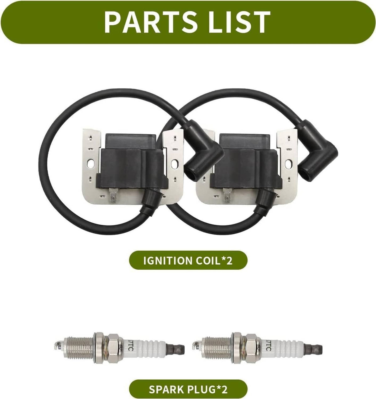 Ignition coil module set with two spark plugs and dual wiring leads
