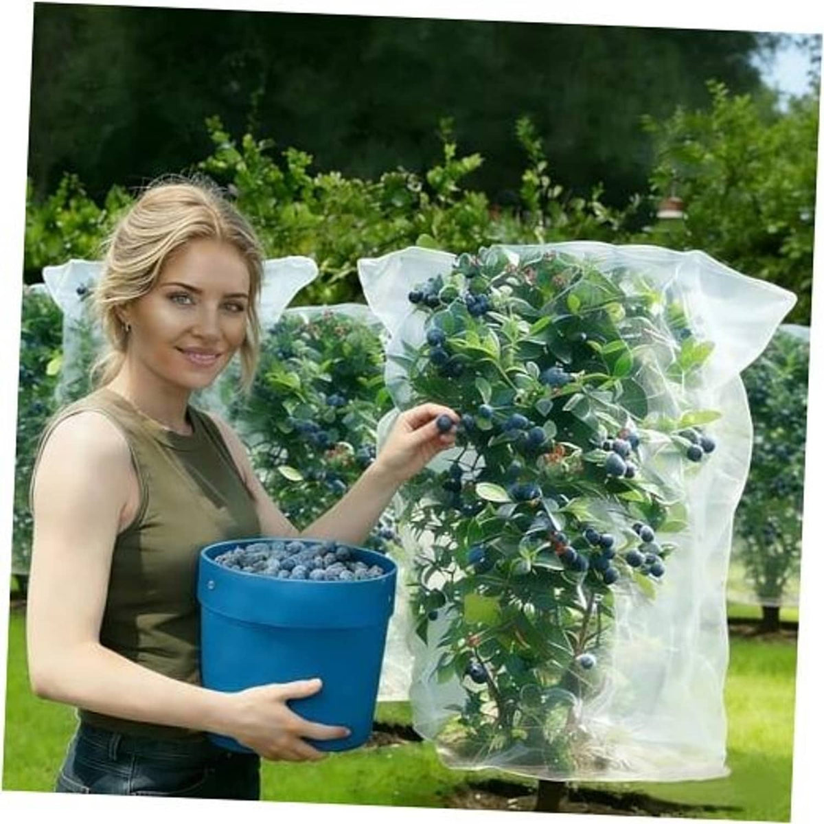 Transparent plastic fruit netting bag with open top, shown covering blue berries