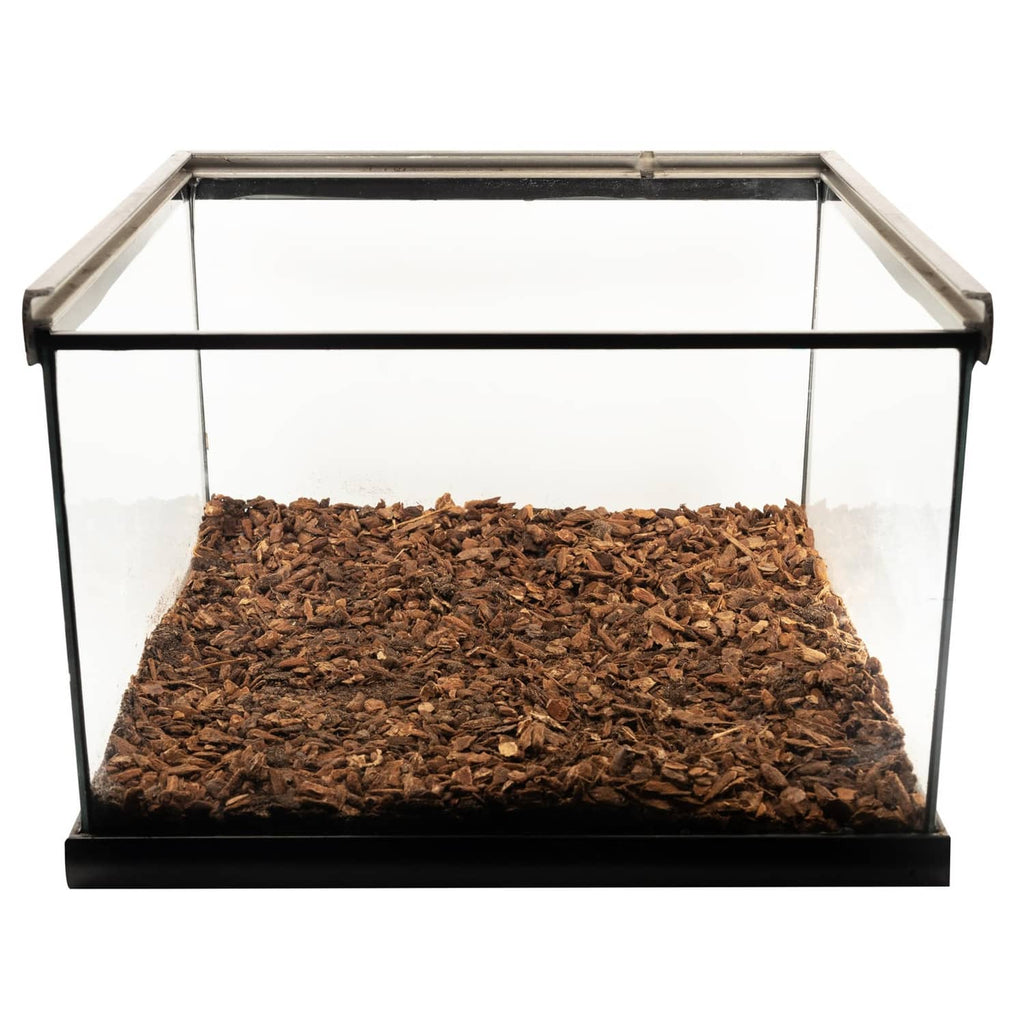 Clear terrarium with dark brown fir bark bedding substrate layer