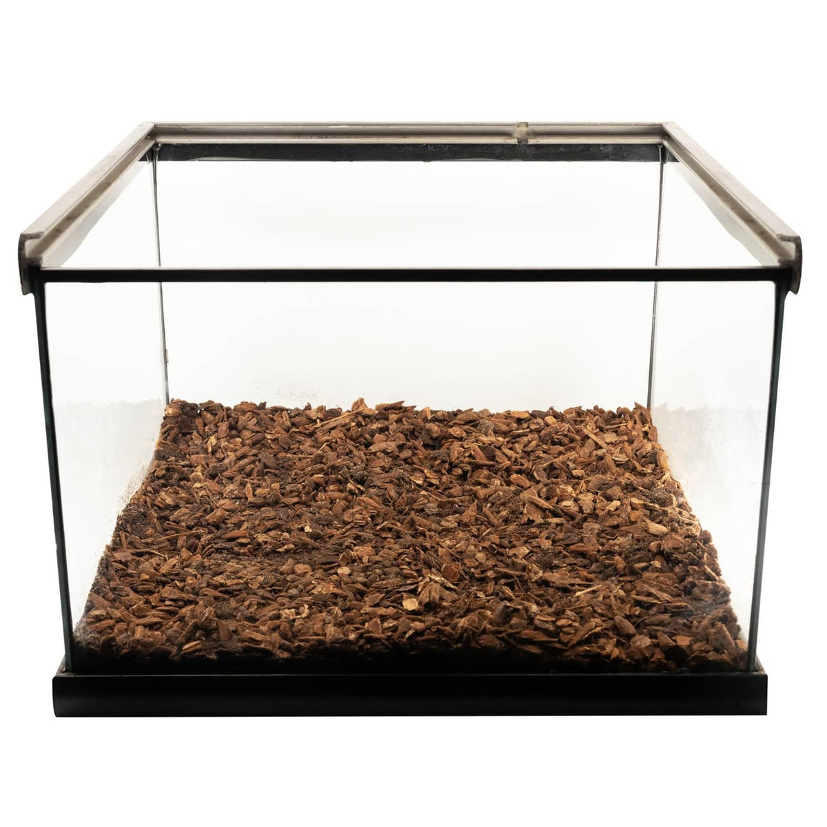 Clear terrarium with dark brown fir bark bedding substrate layer