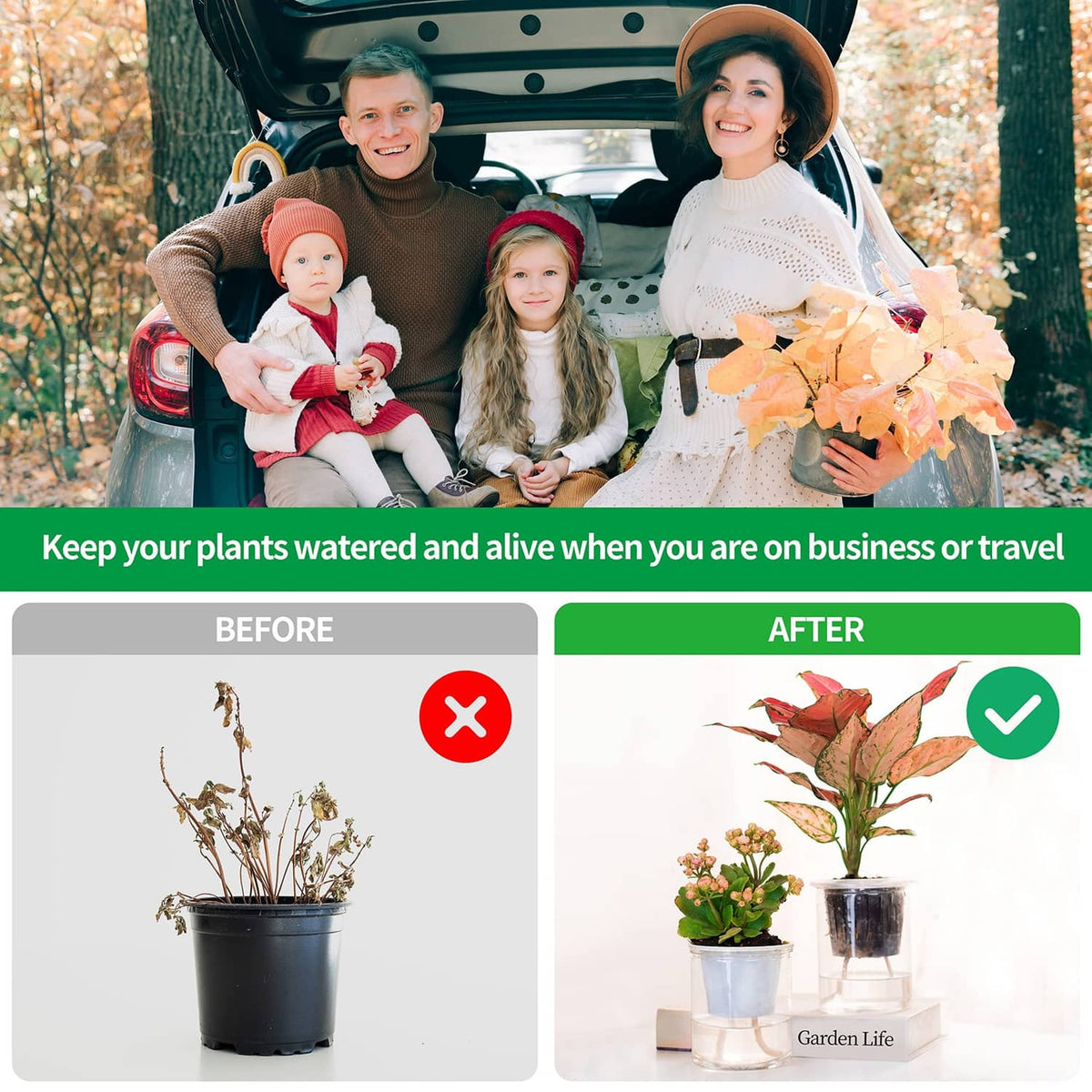 Self-watering irrigation system for travel, plants shown with before-and-after comparison
