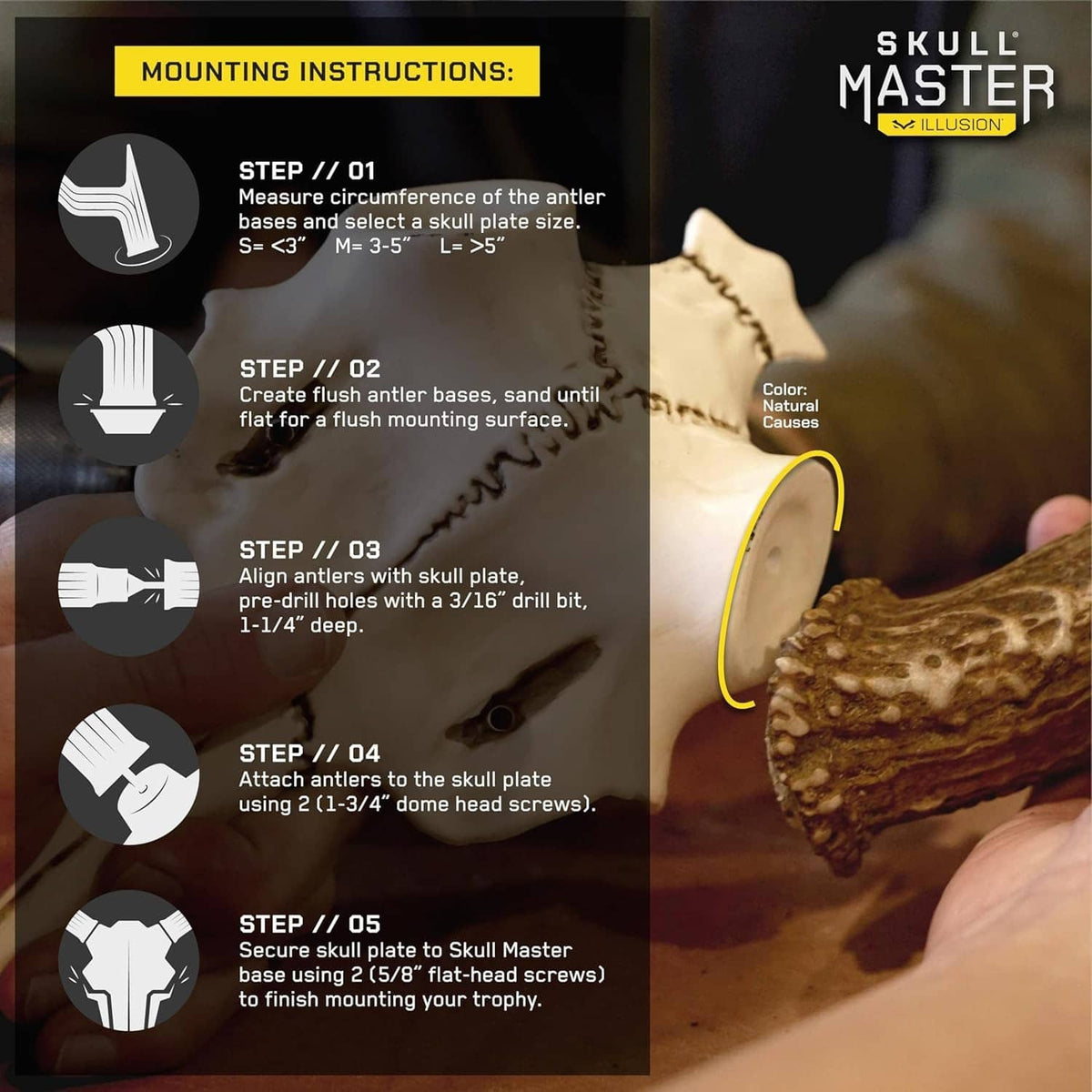 Skull mounting instructions graphic with skull base and hardware parts
