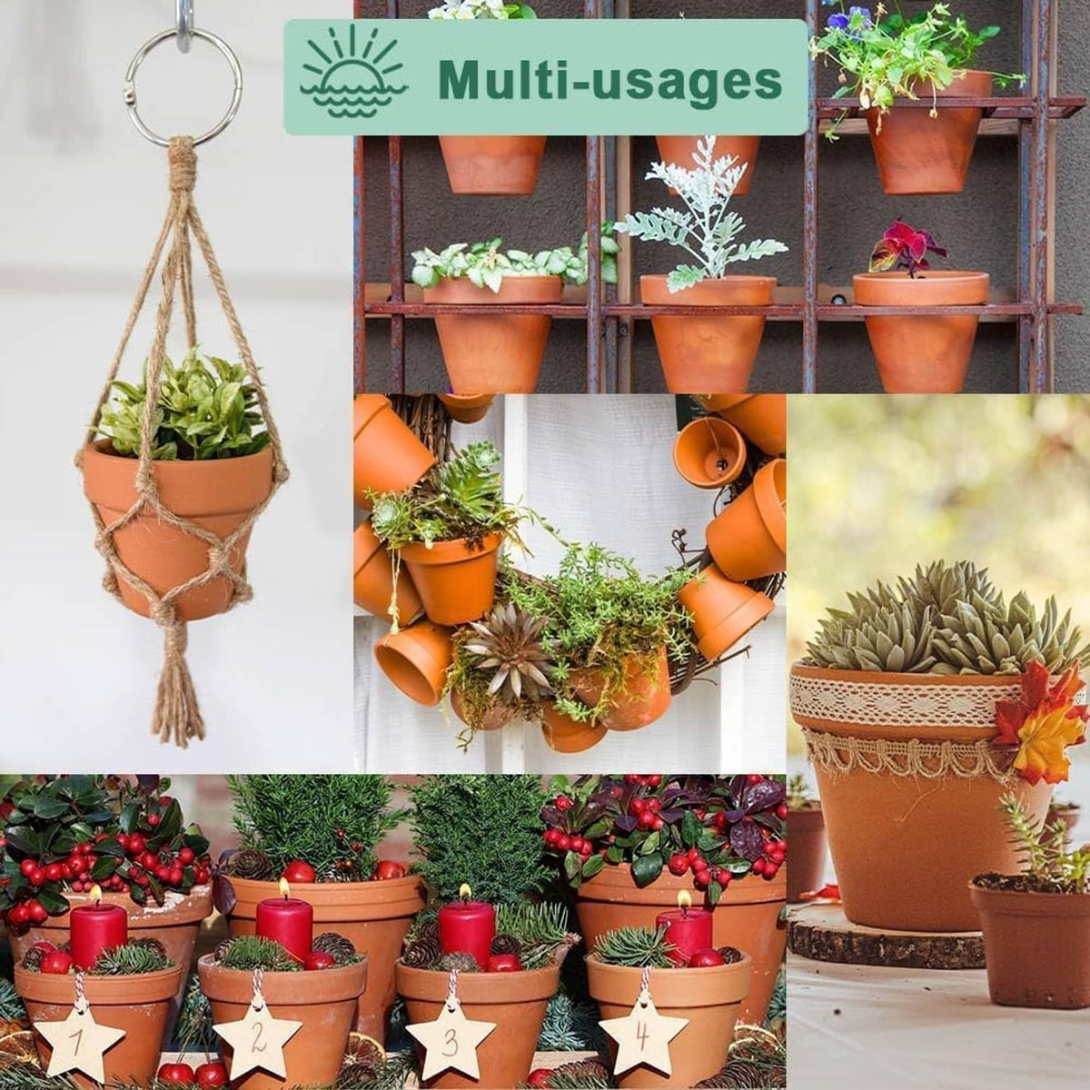 Terracotta plant pots with saucers used in indoor and outdoor displays