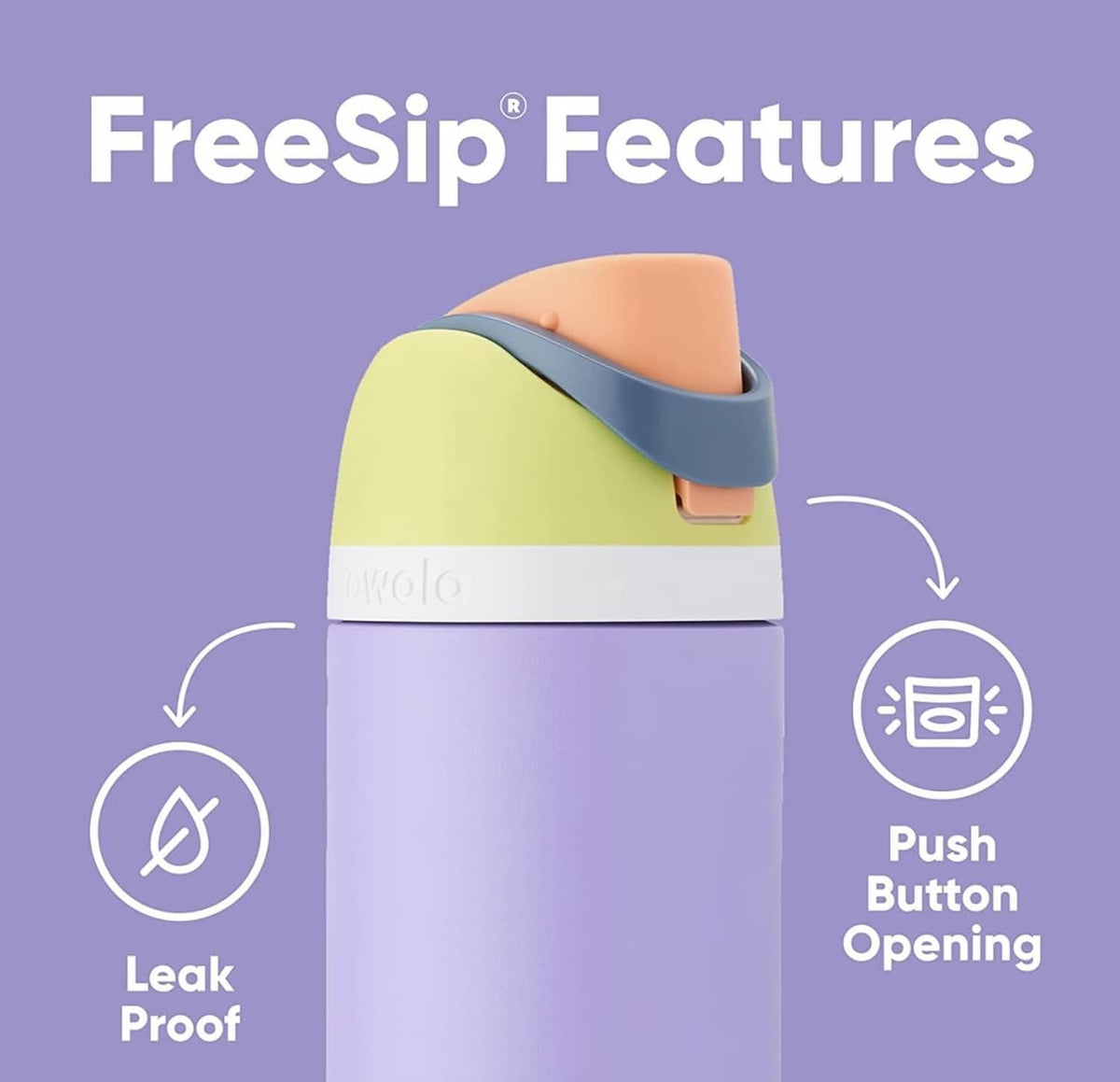 Insulated stainless steel water bottle with multicolor lid and push-button opening