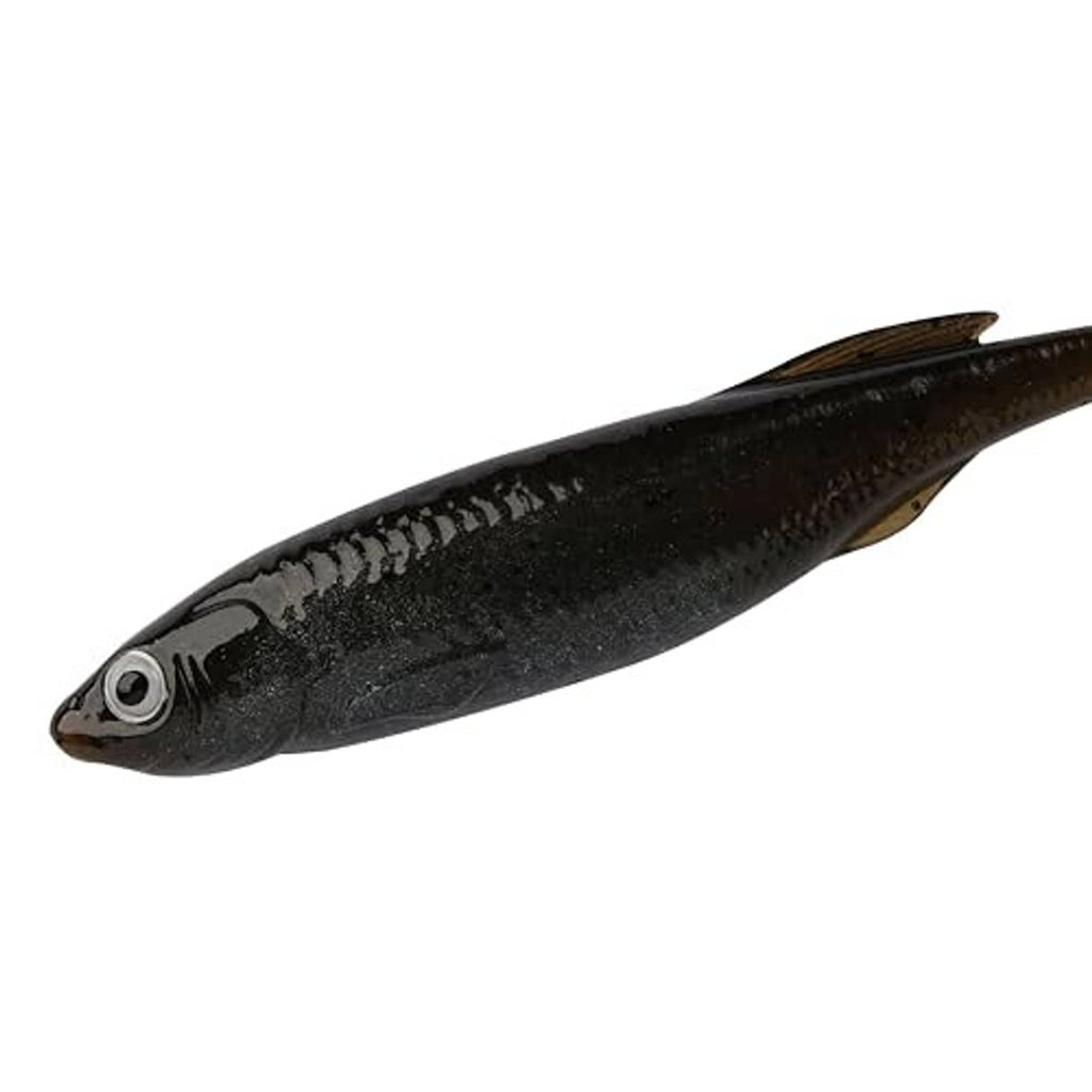 Soft plastic fishing lure, dark green shad pattern with molded fins and eye