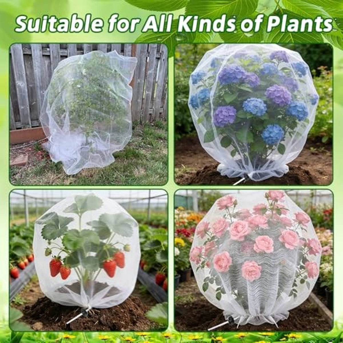Clear white drawstring plant netting covers on outdoor plants, assorted flowers and berries