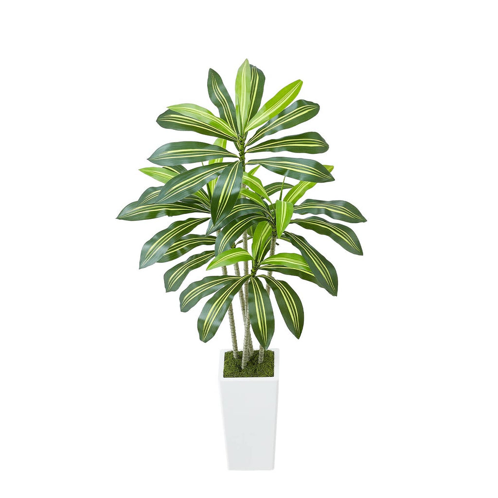 Faux dracaena tree with green leaves and faux moss in a white rectangular pot