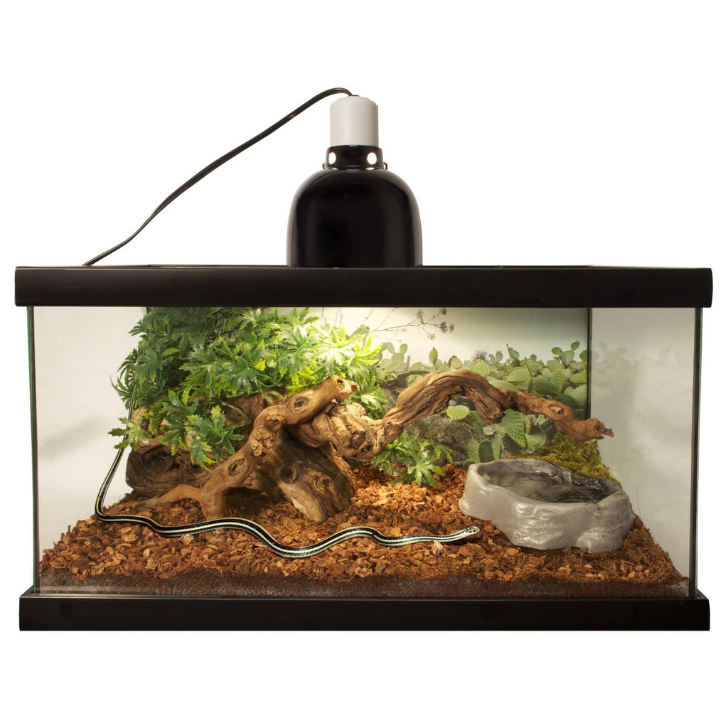 Reptile terrarium with dark brown bark bedding substrate, plants and decor inside
