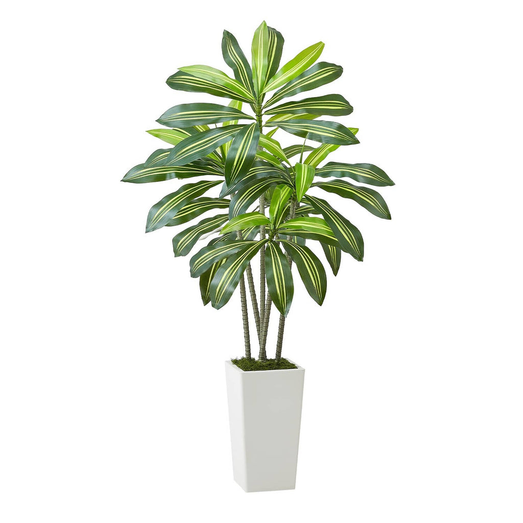 Artificial dracaena tree with green leaves and faux moss in a white pot