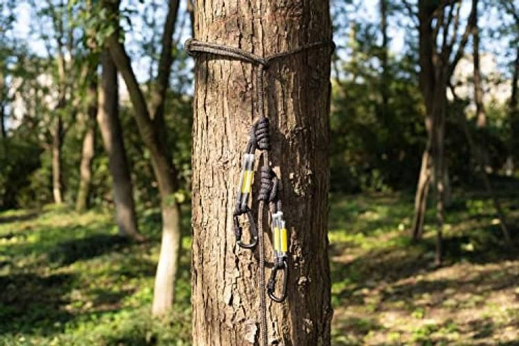 Safety rope with prusik knots and two carabiners attached to a tree trunk