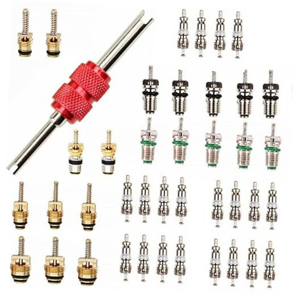 Refrigerant AC valve core kit with removal tool and multiple valve cores in rows