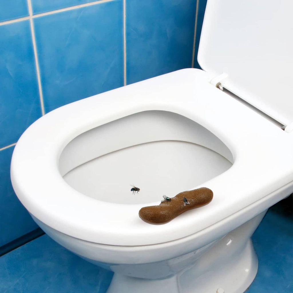 Realistic fake poop pieces in a toilet bowl with lid open