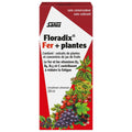 Red carton for liquid iron and vitamin supplement, 250 ml with plant and fruit graphics