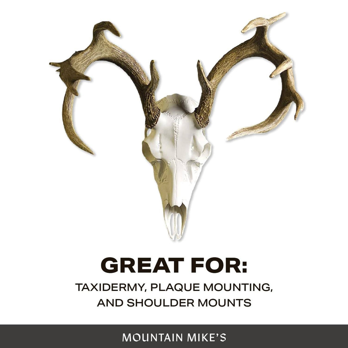 Antler mounting kit with white skull plate and two brown antler spreaders.