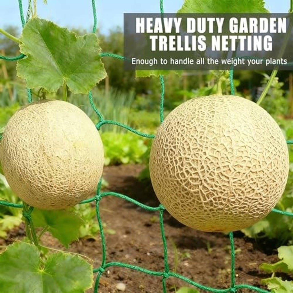 Jute-colored melon gourds attached to green trellis netting mesh