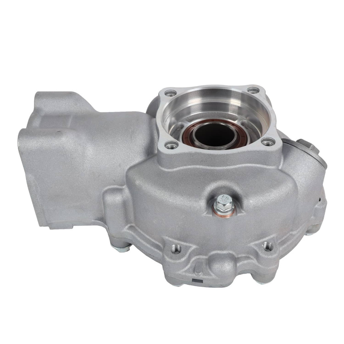 Rear differential gear case angled side view with hex bolt and round seal housing