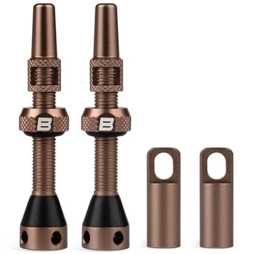 Tubeless Presta valve stem set with bronze stems, caps, and mounting base
