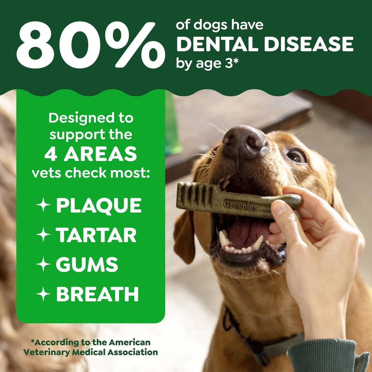 Dog reaching for a green dental treat while a person offers it