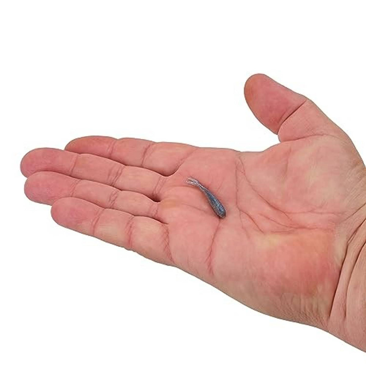 Iridescent green-blue soft plastic minnow held in open hand