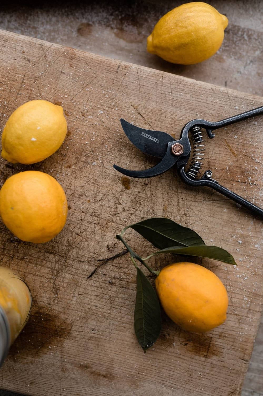 Japanese garden shears resting on wood board with black sheath and citrus leaves