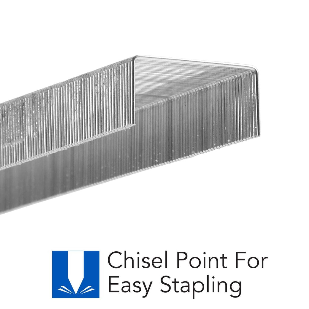 Chisel point standard staples close-up, showing sharp staple tips