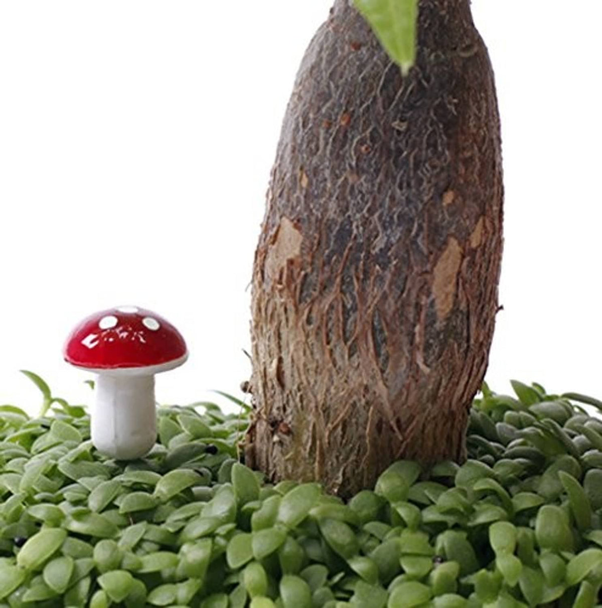 Red foam mushroom ornament with white spots on green stem on green succulent mat