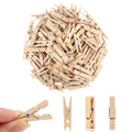 Wooden mini clothespins with metal springs, bulk set of small clips