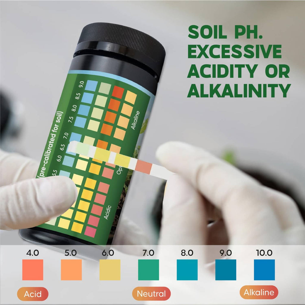 Soil pH test strip held in front of a color scale for acidity or alkalinity