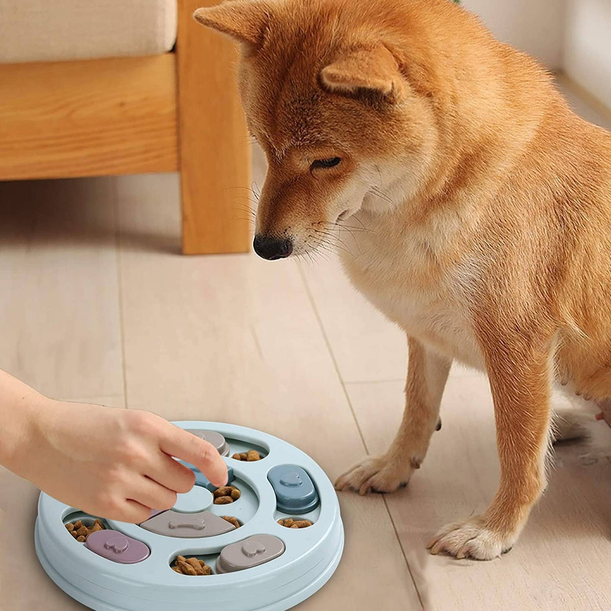 Dog sniffing a pastel sliding treat puzzle feeder on a floor