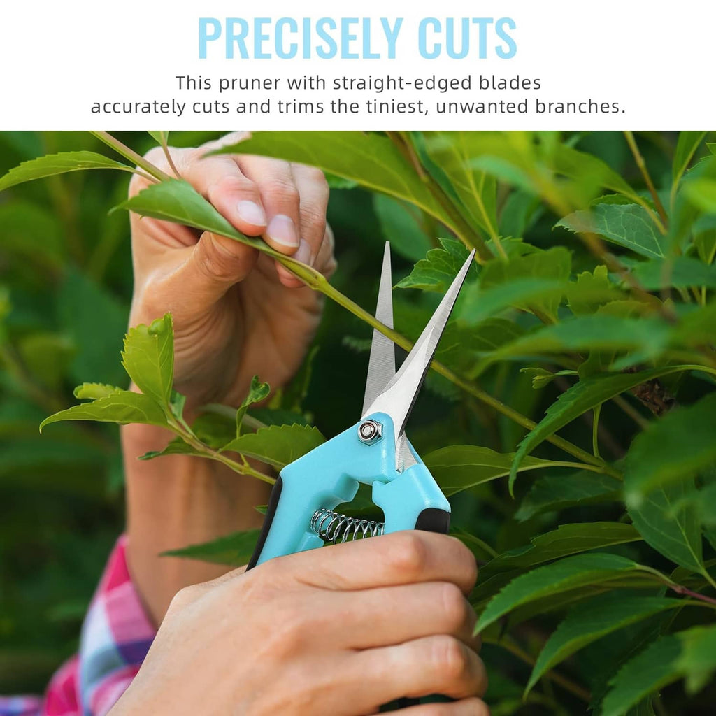 Blue pruning shears in hand, cutting a small branch among garden leaves