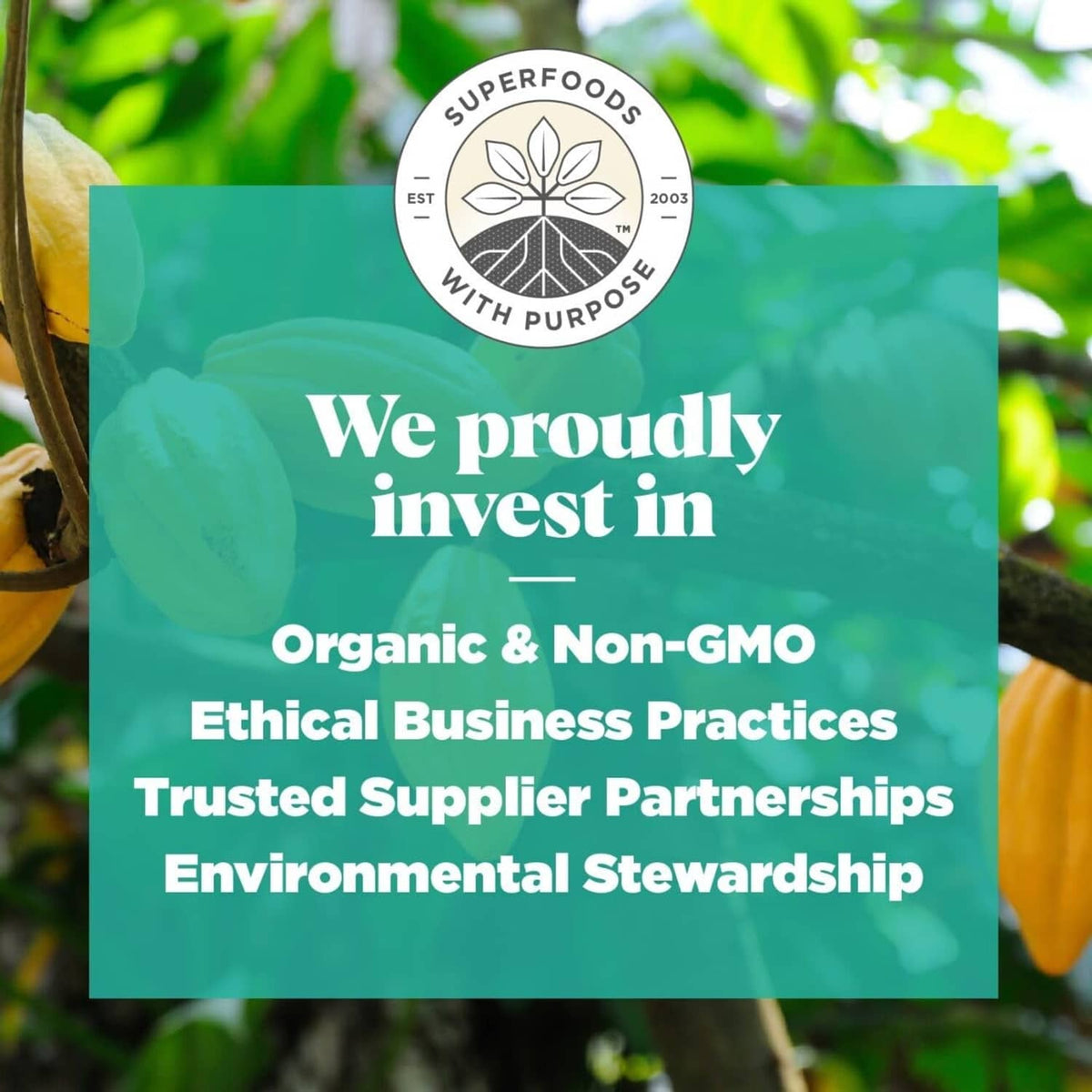 Organic cacao pods with We proudly invest message card and sustainability badges