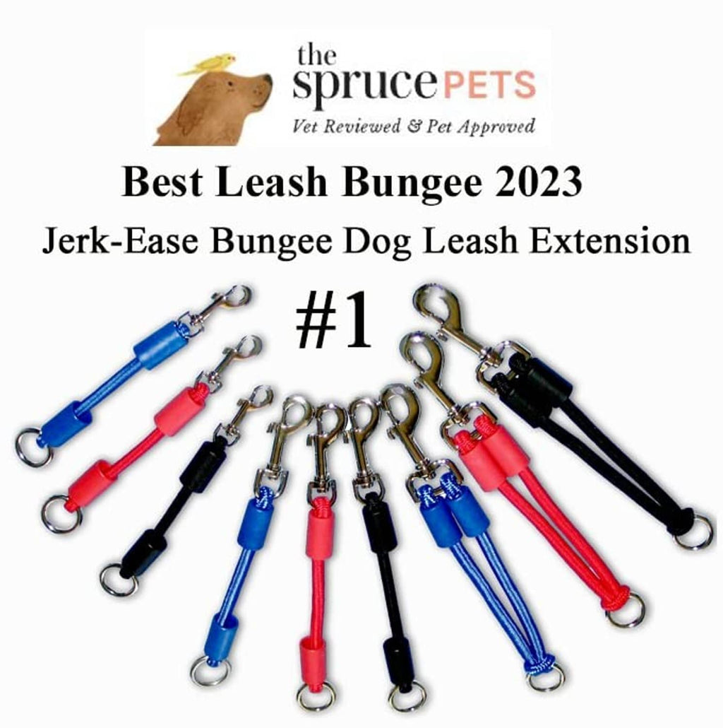 Set of blue, red, and black dog leash extensions with metal hooks and snaps