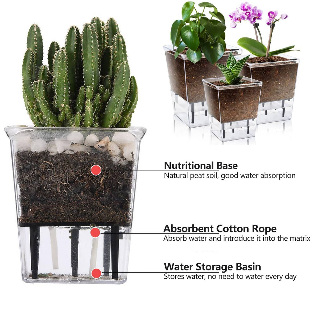 Clear self-watering planter set with dark soil, cotton rope and water storage basin