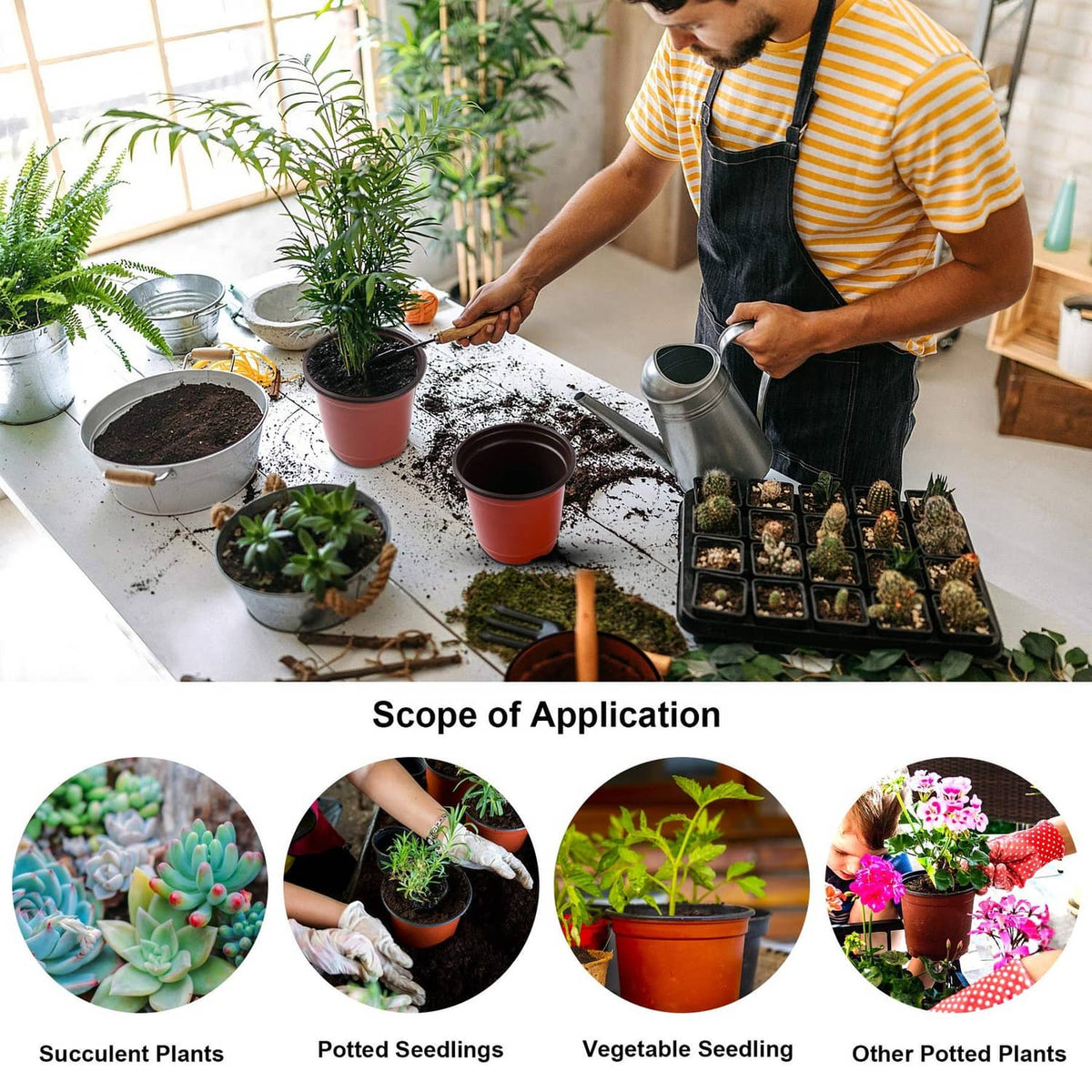 Red plastic nursery pots with potted seedlings on a work surface
