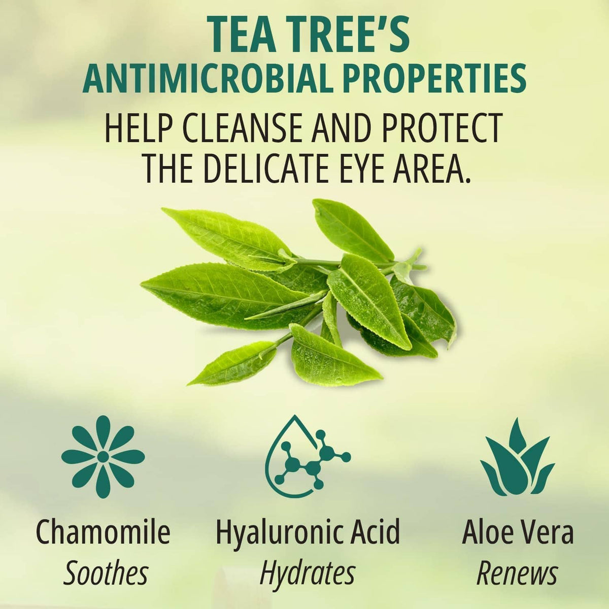Tea tree ingredient benefits panel with green leaves, chamomile, hyaluronic acid icons