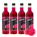 DaVinci Gourmet prickly pear syrup 4-pack bottles with prickly pear fruit
