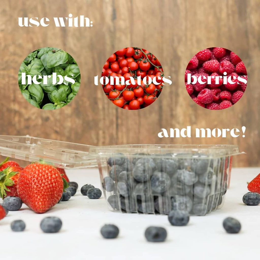 Clear plastic berry basket with lid, surrounded by strawberries and blueberries